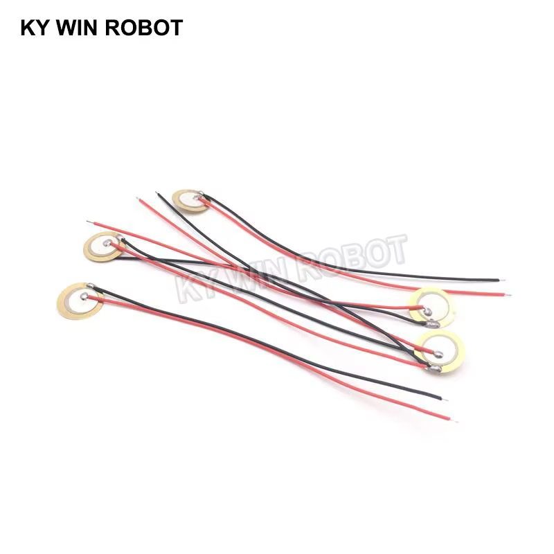10 Buah Pelat Wafer Keramik Pi - Diy In Electronics ulasan dan harga