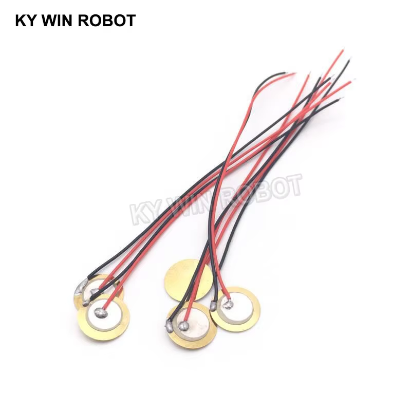 10 Buah Pelat Wafer Keramik Pi - Diy In Electronics ulasan dan harga