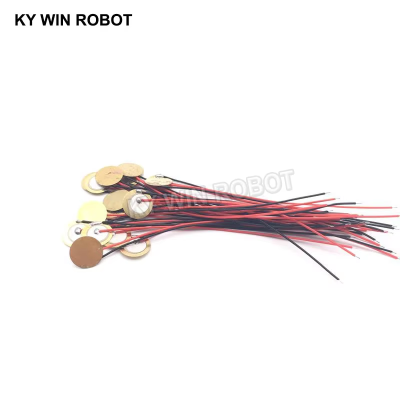 10 Buah Pelat Wafer Keramik Pi - Diy In Electronics ulasan dan harga